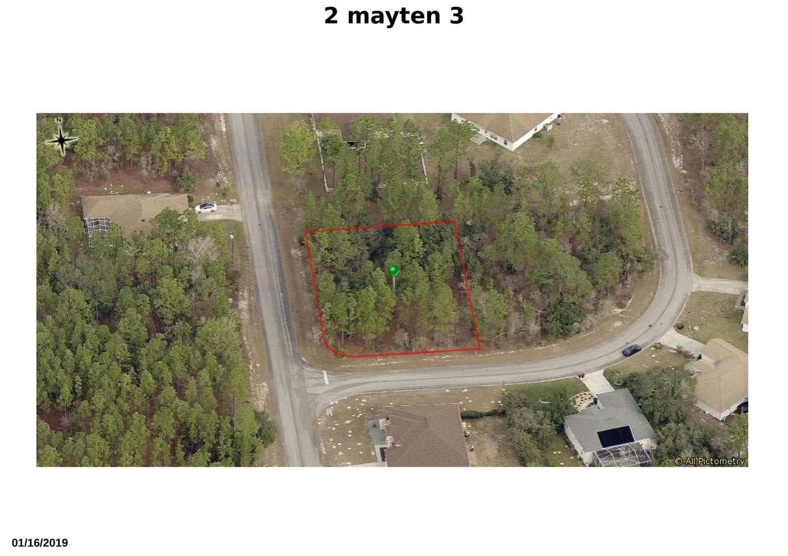 2 mayten 3