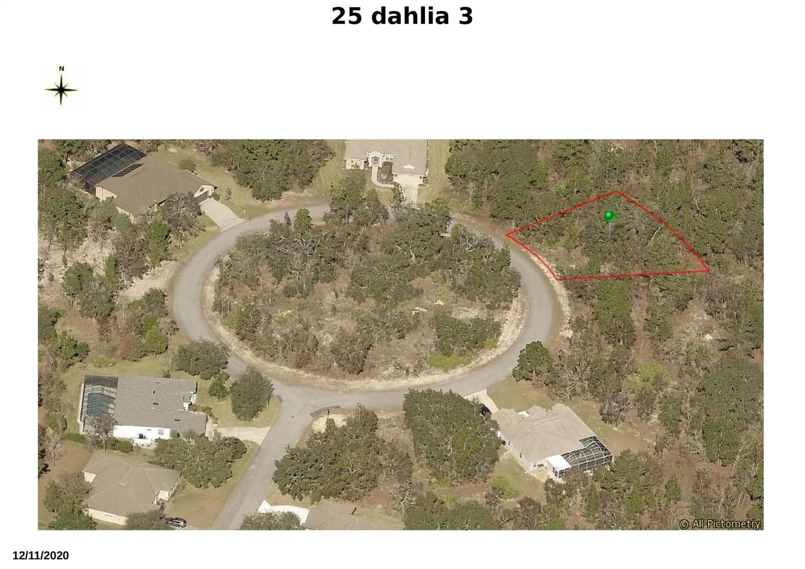 25 dahlia 3