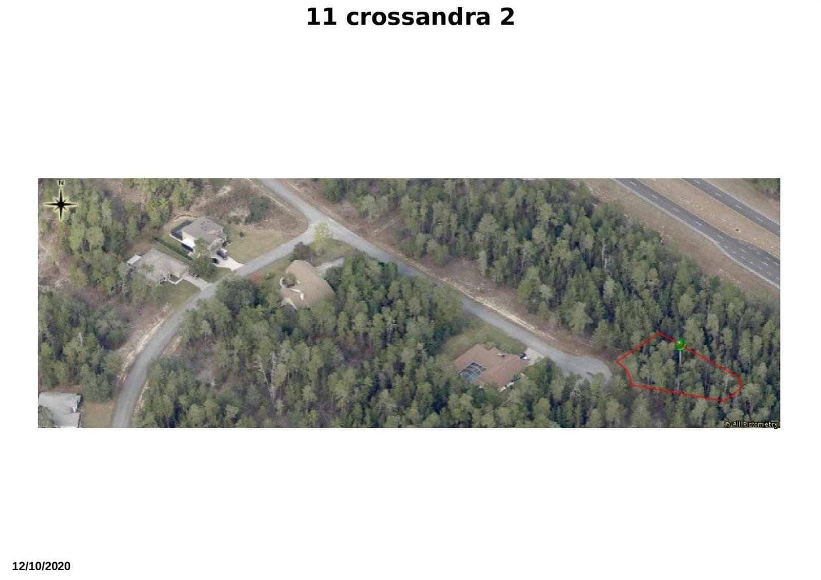 11 crossandra w2