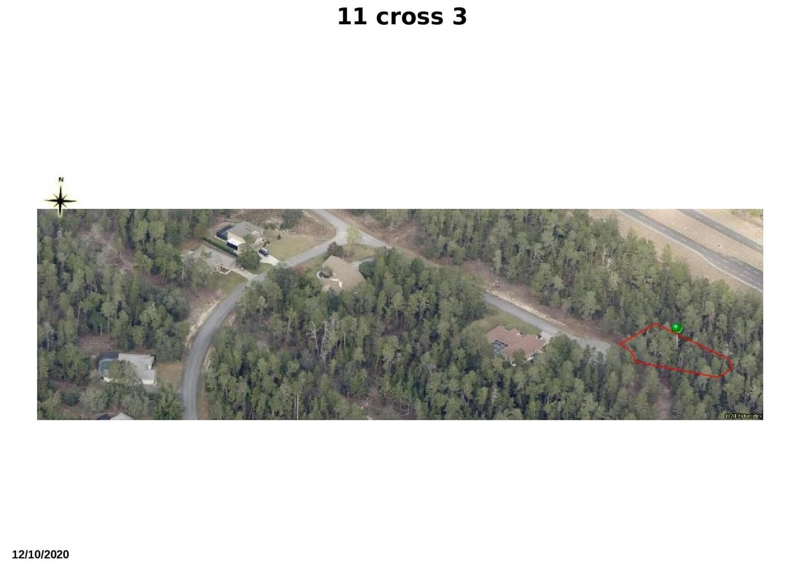 11 crosandra 3