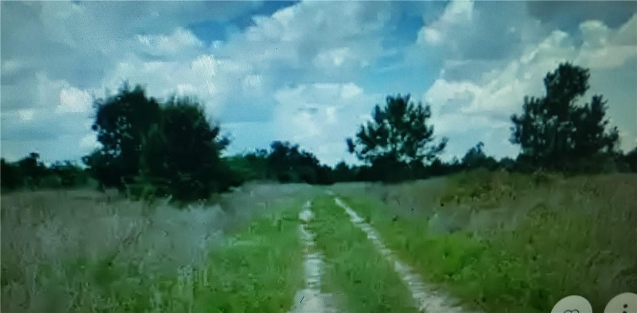 Lot D6 Palm Circle, FL 32008