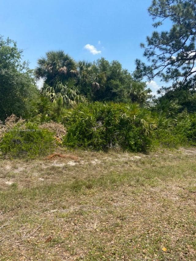 5029 SE TradeWinds Cir, La Belle FL 33935