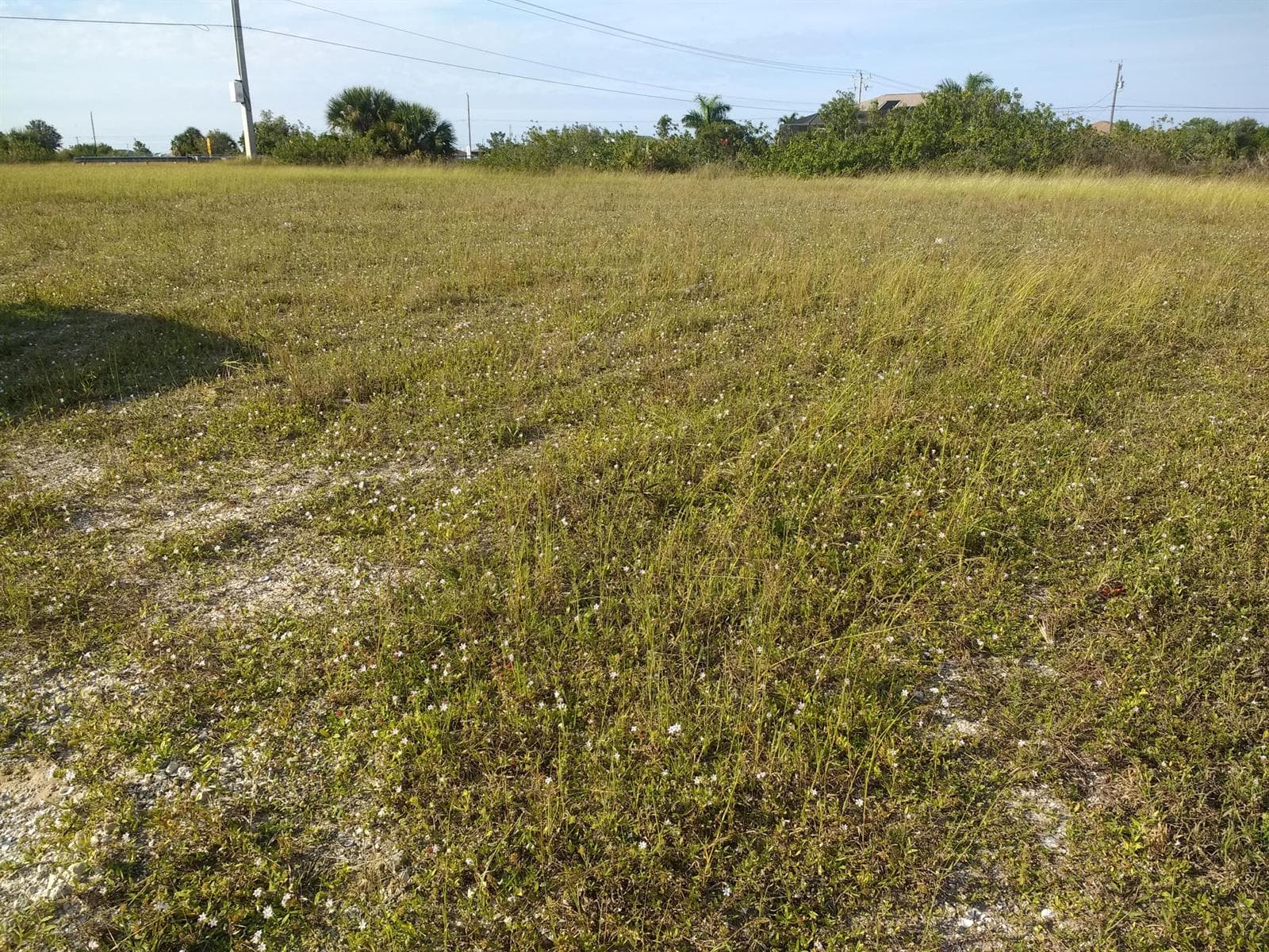 Cape Coral 1