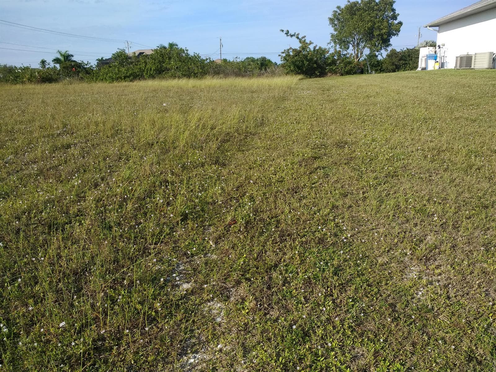 Cape Coral 2