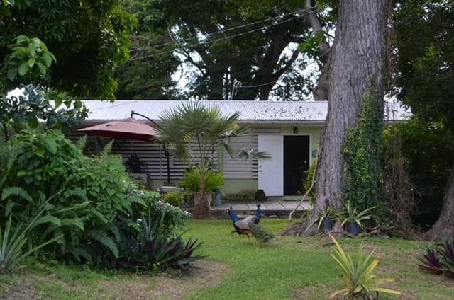 Cottage 2