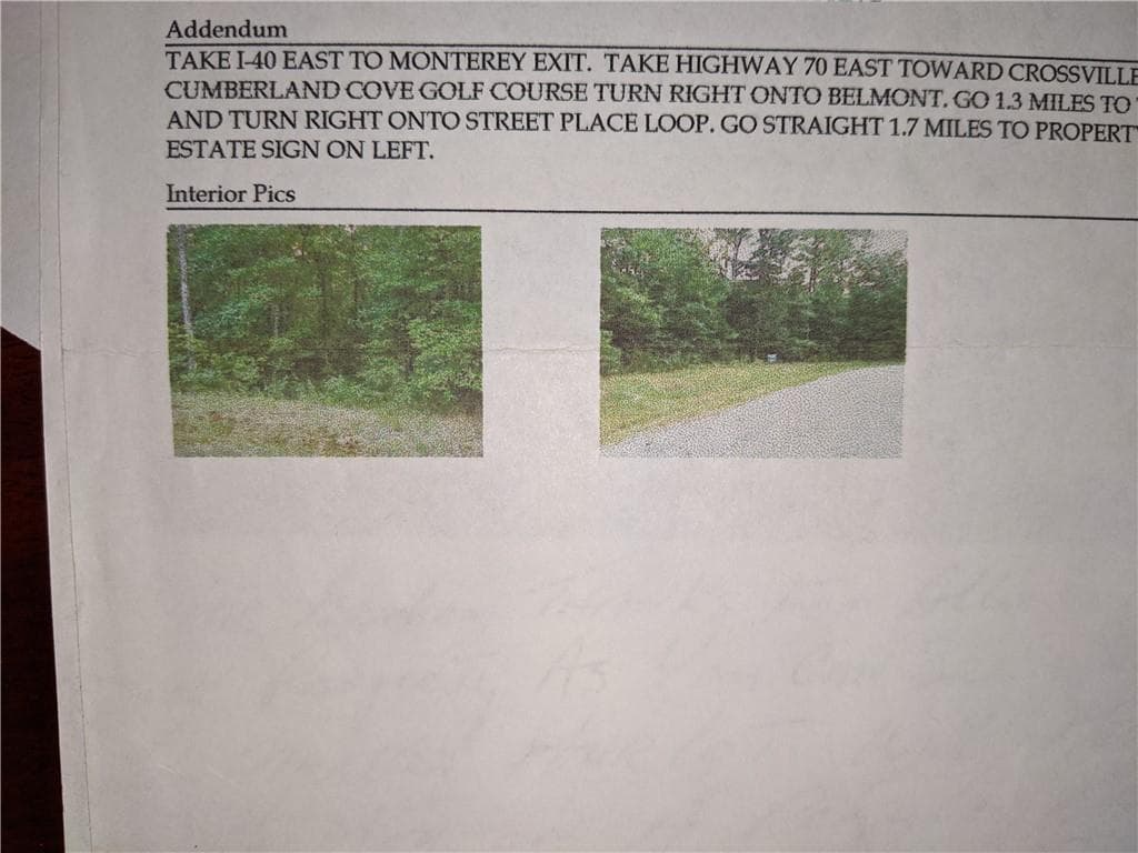 Photo 5