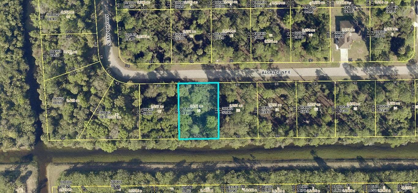 920 Alcalde Street E, Lehigh Acres FL 33974