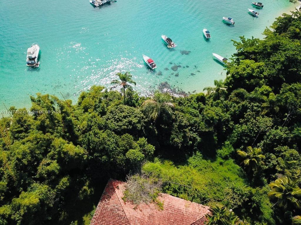 Ilha do Dentista, Other Country - Not In USA RJ Brazil