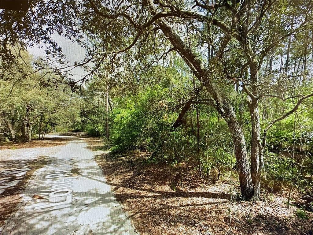 0000 Lone Pine Trail, FL 32666