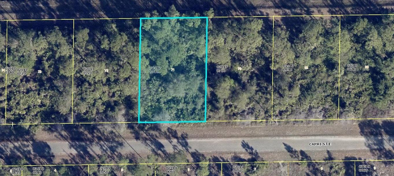 1113 Capri Street E, Lehigh Acres FL 33974