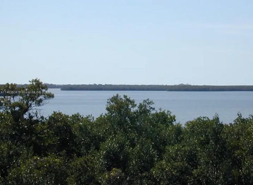 2044 Dogwoods, Marco Island FL 34145