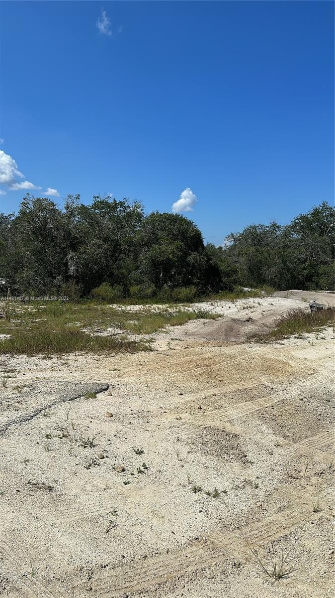 412 ELEANOR BLVD, Lake Placid FL 33852