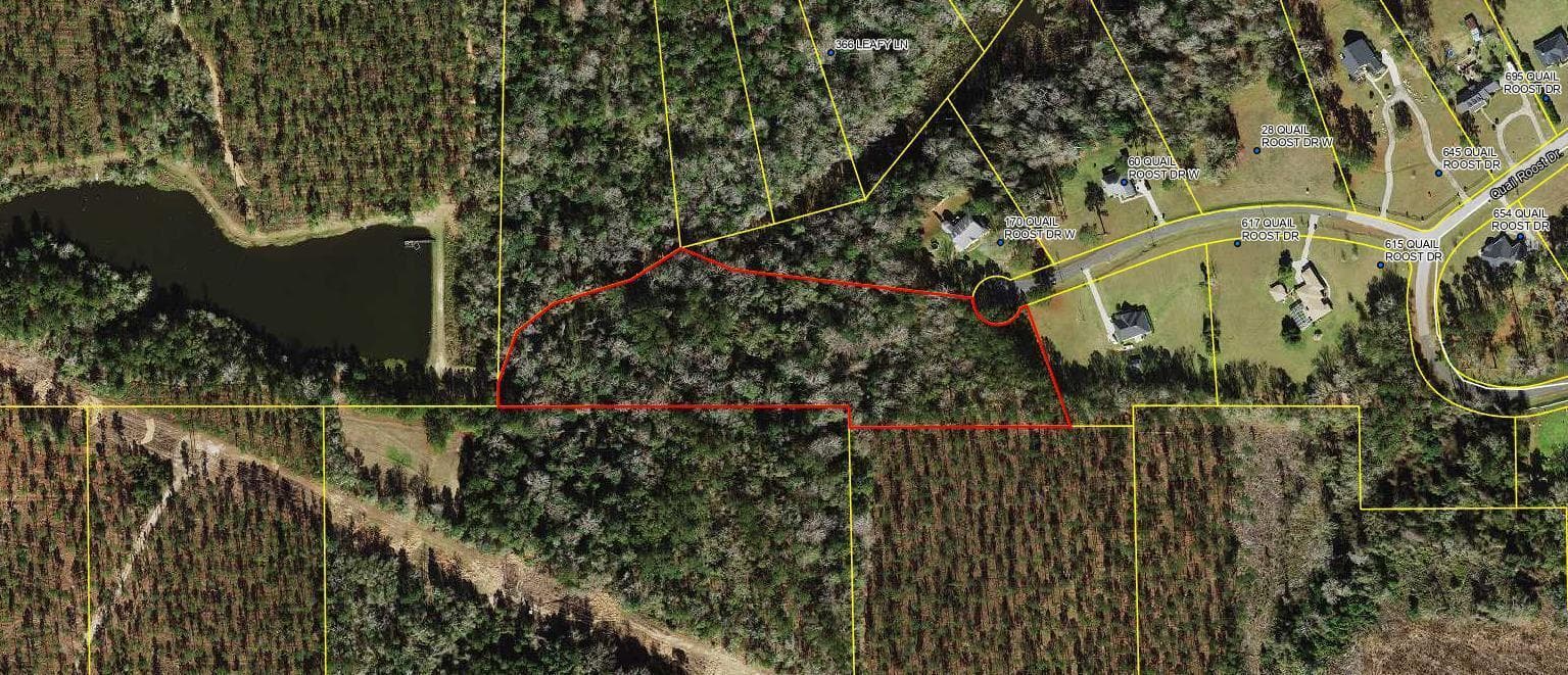 Tbd W Quail Roost Drive, FL 32352