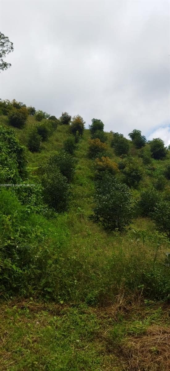 Armenia-Quindio, FL