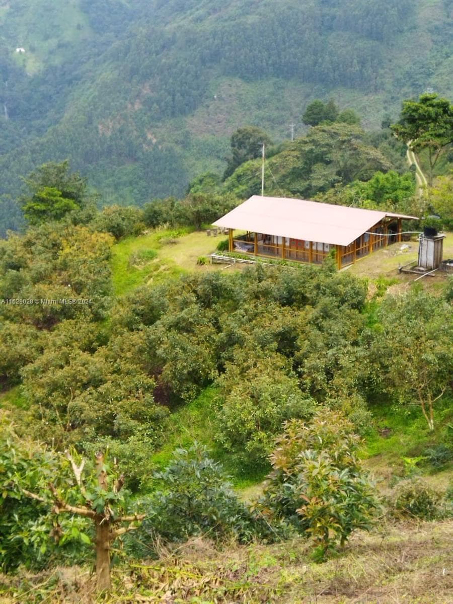 Armenia-Quindio, FL