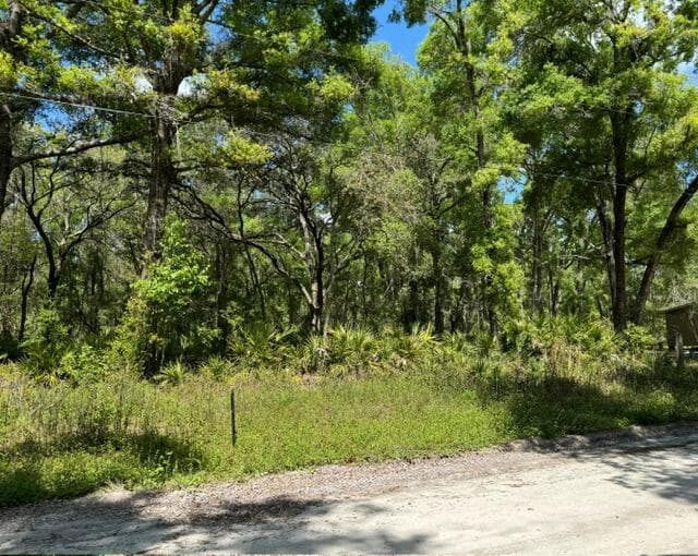 Tbd NE 472nd Avenue, FL 32680