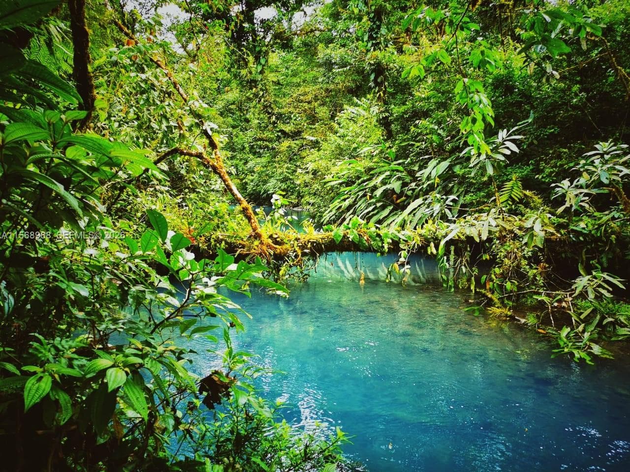 FL