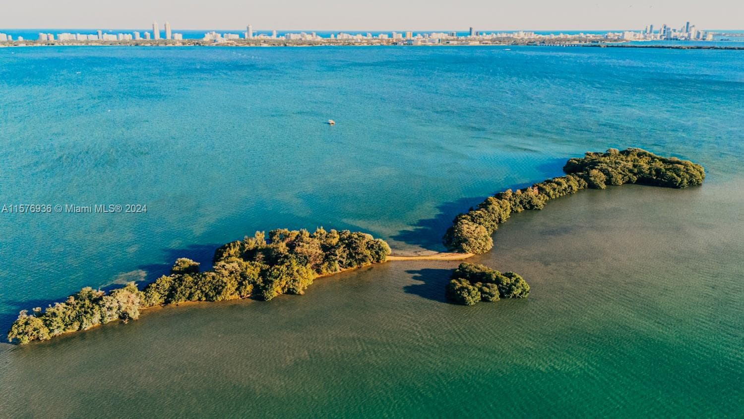 1 BIRD KEY, Miami FL 33138