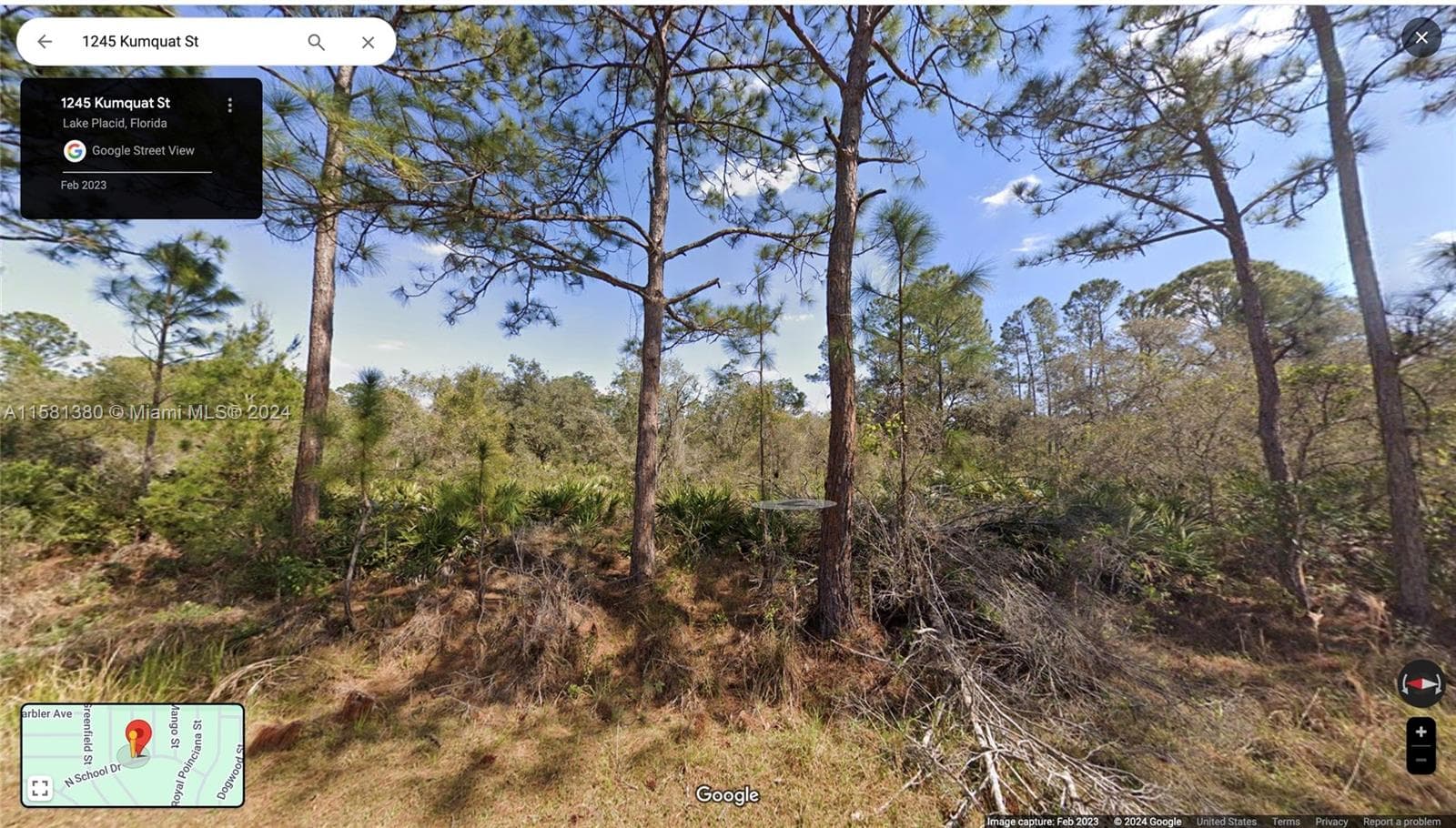 1245 KUMQUAT ST, Lake Placid FL 33852