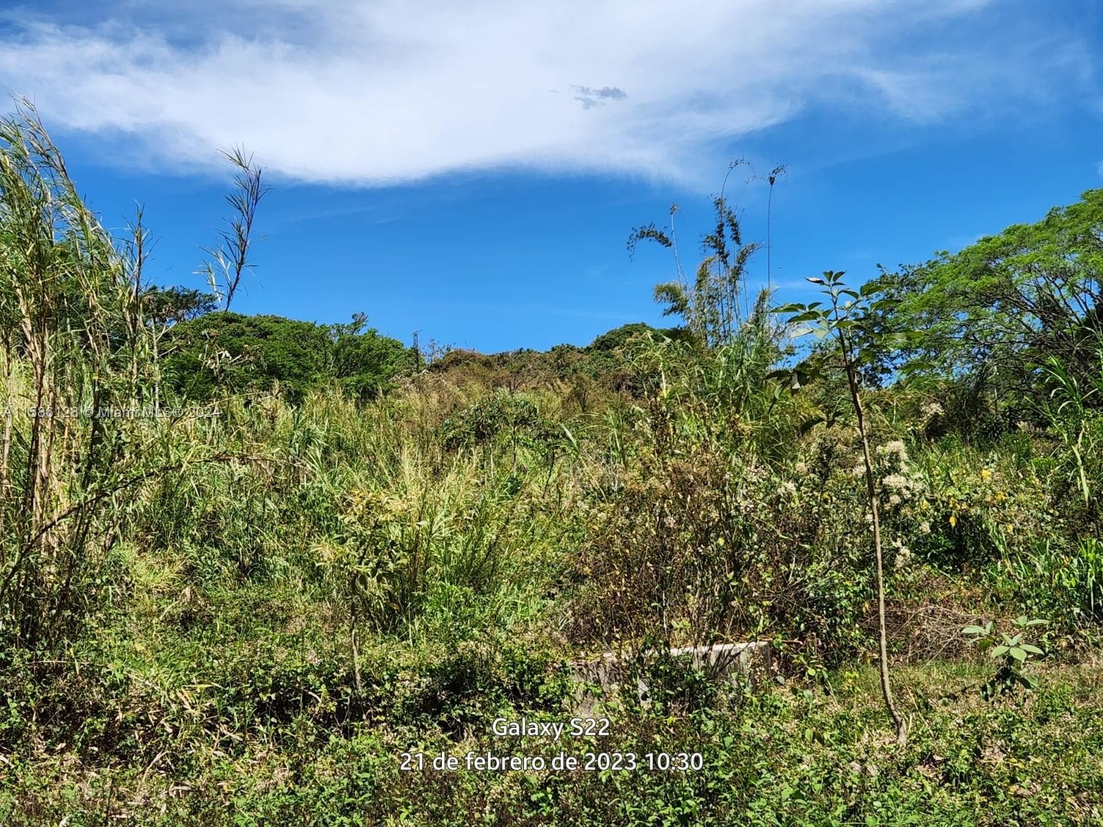 no # Puente de Piedra y Tacares Alajuela Grecia C R, CR