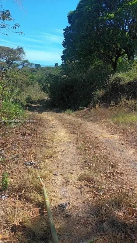 no # Puente de Piedra y Tacares Alajuela Grecia C R, CR