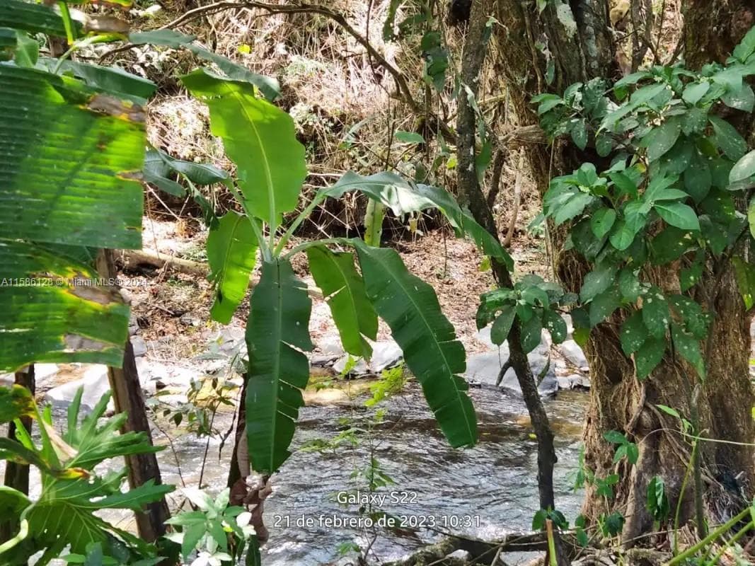 no # Puente de Piedra y Tacares Alajuela Grecia C R, CR