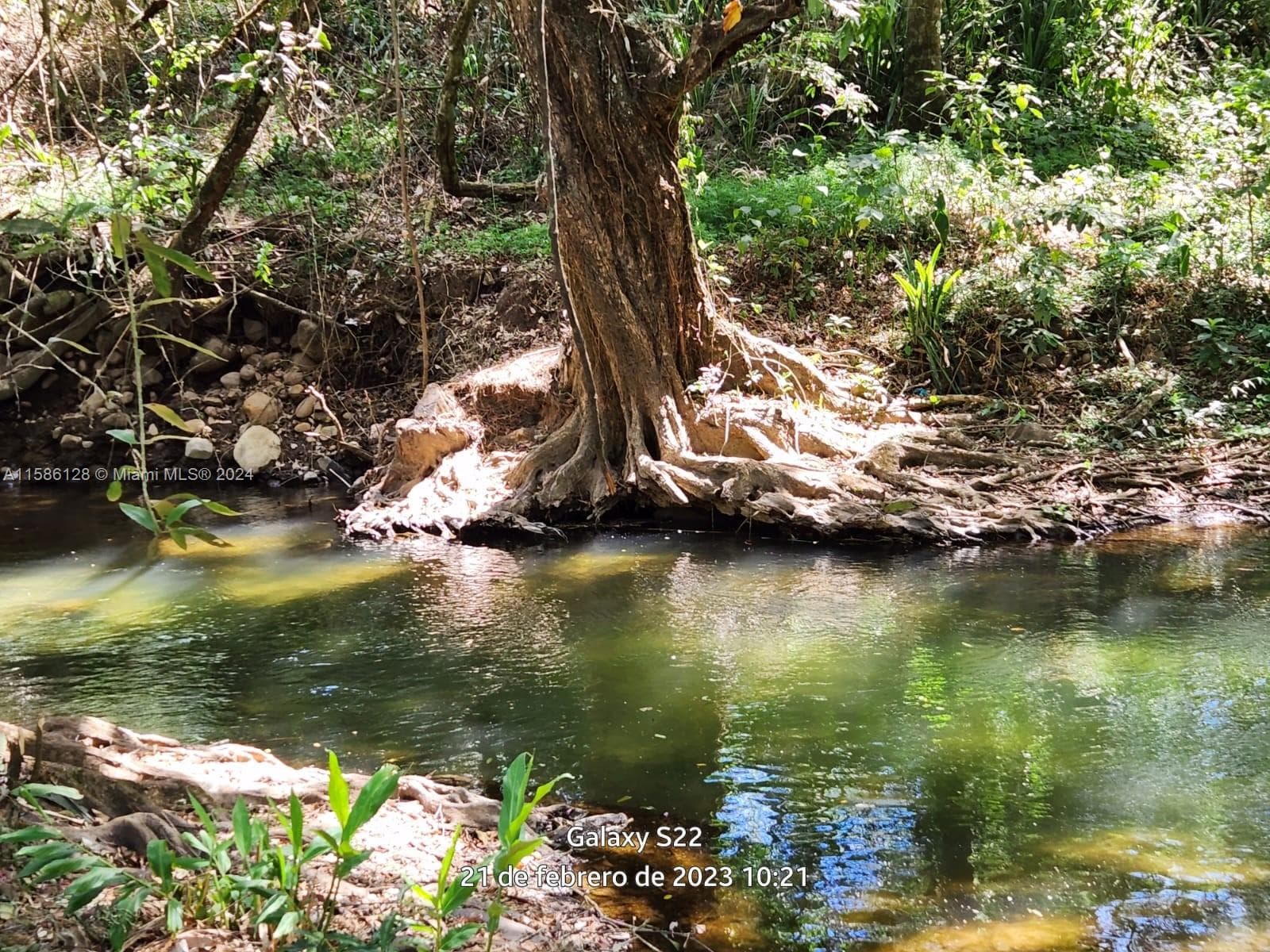 no # Puente de Piedra y Tacares Alajuela Grecia C R, CR