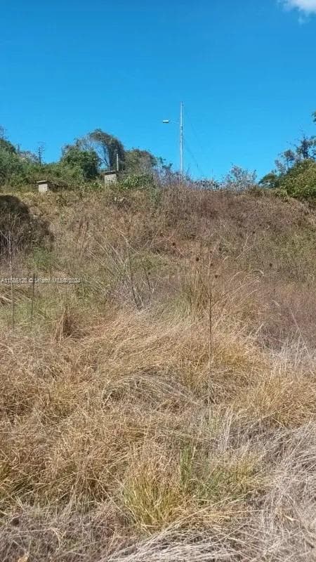 no # Puente de Piedra y Tacares Alajuela Grecia C R, CR