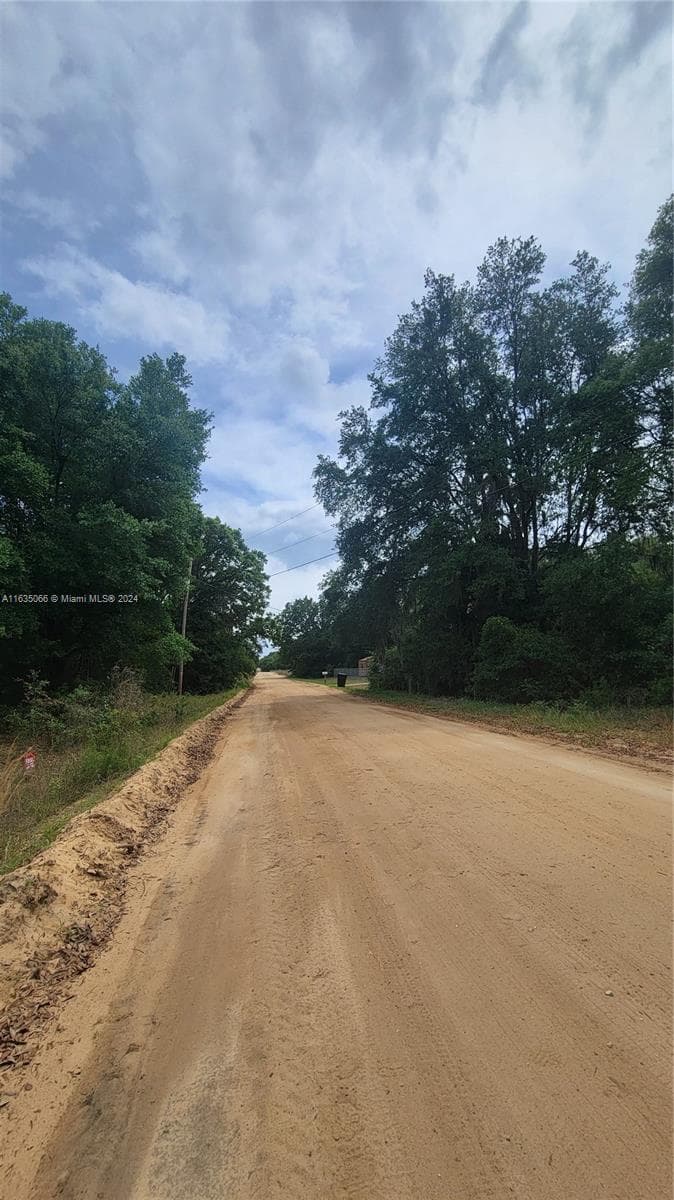 0 Lenore Ave, Palatka FL 32148