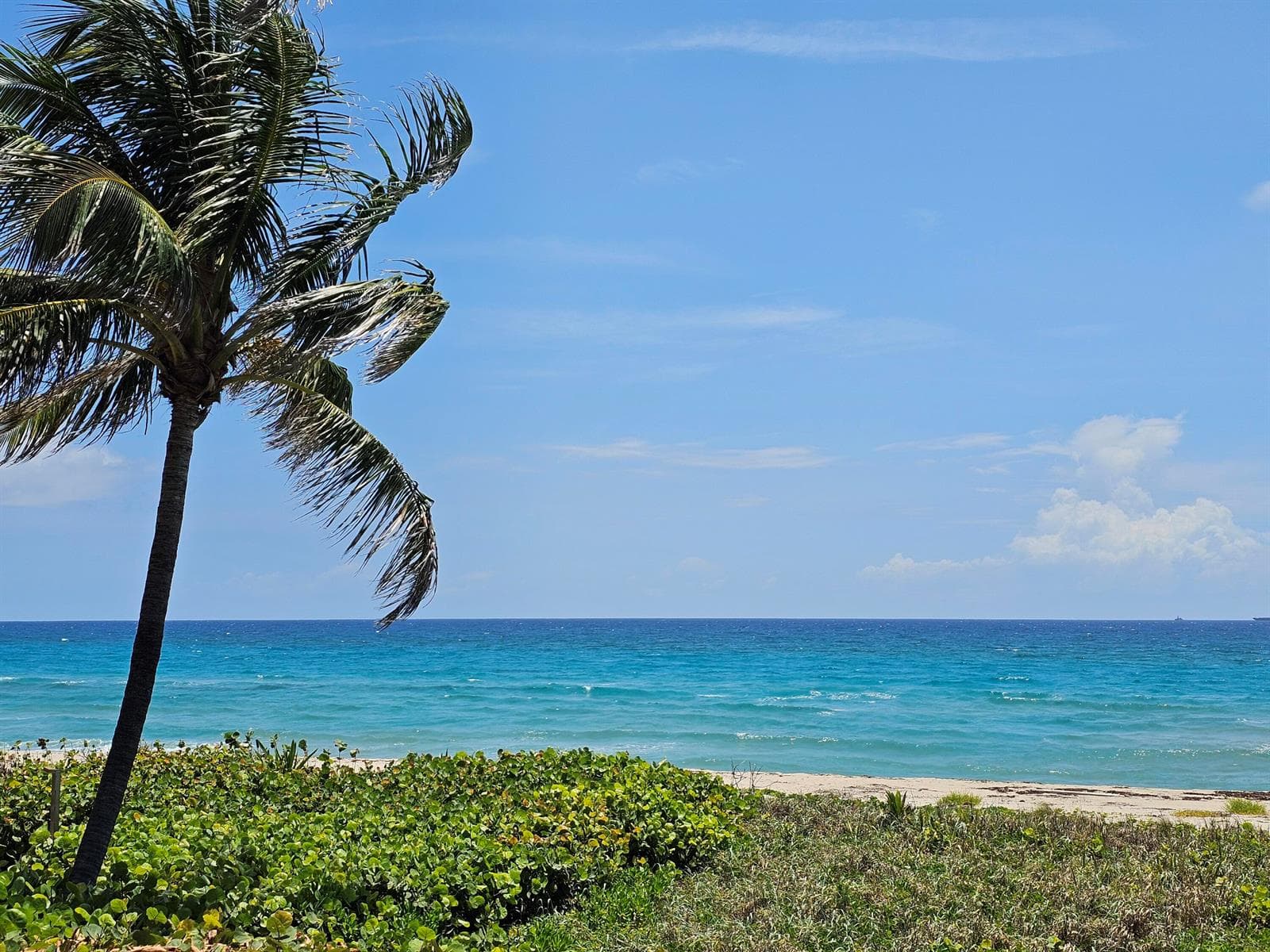 Palm Beach County