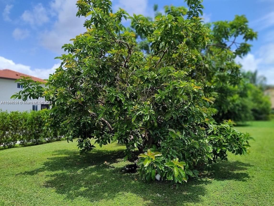 157th CT SW 65th TERRACE, Miami FL 33193