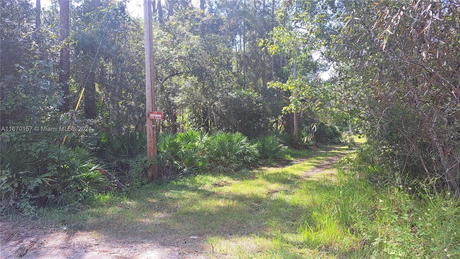 UNDETERMINED NE 42nd ST, Ocala FL 34488