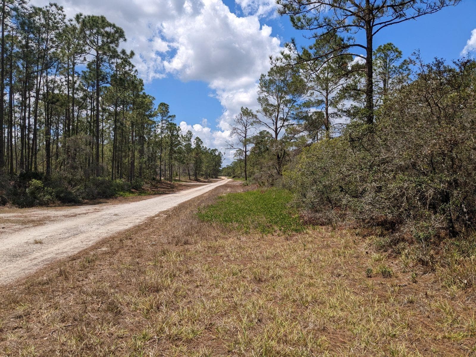 430 Apple Blossom Avenue, Lake Placid FL 33852