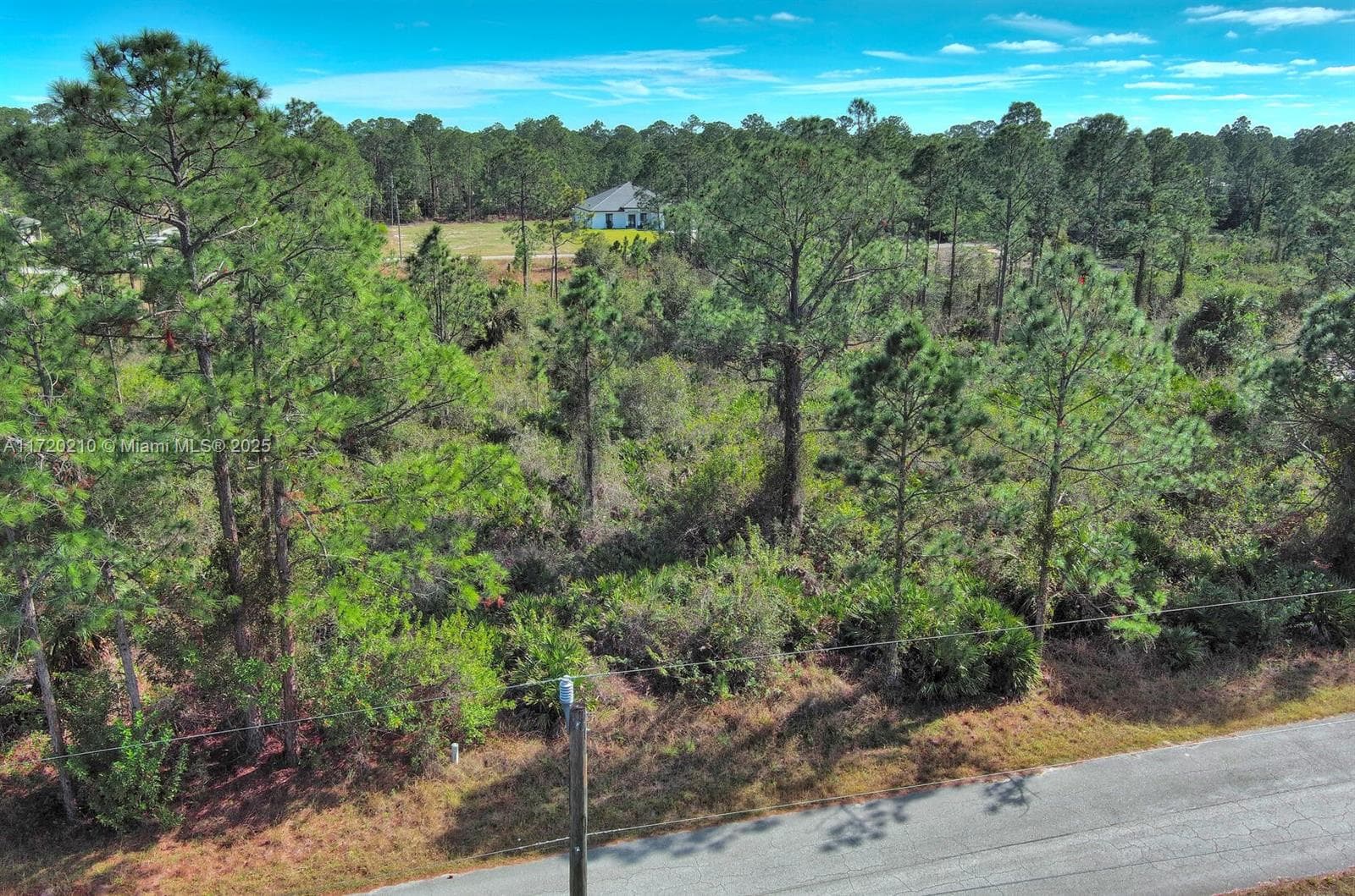 1020 Lake Ave, Lehigh Acres FL 33972