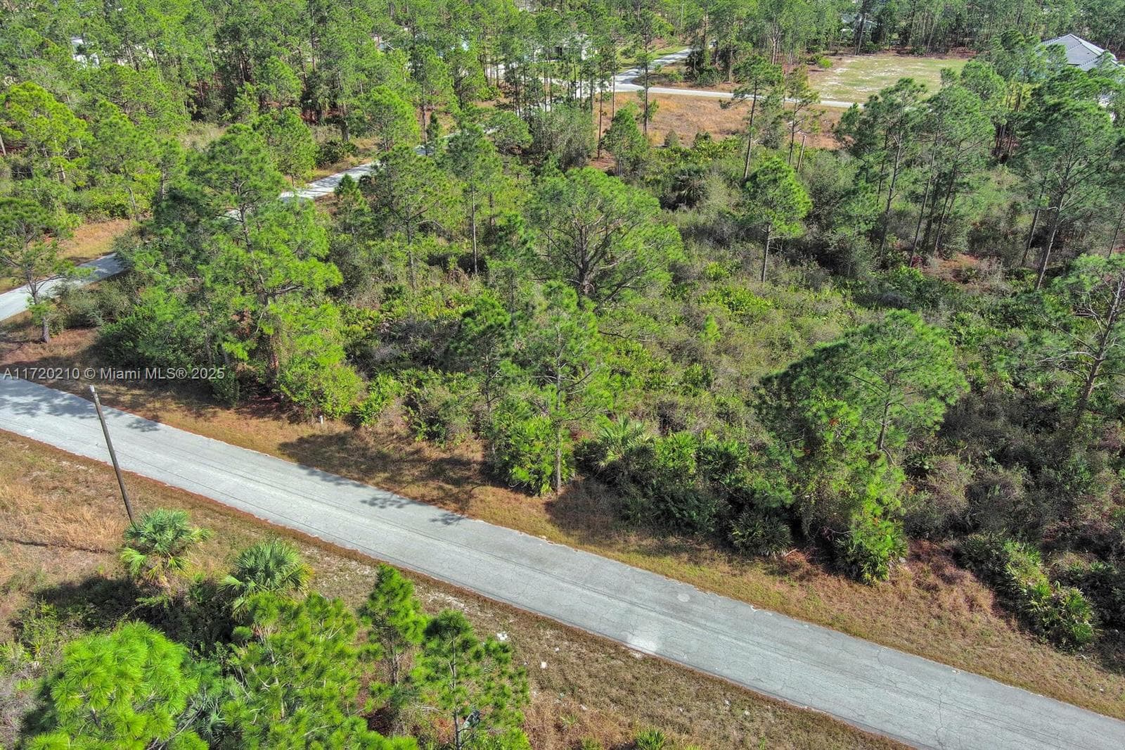 1020 Lake Ave, Lehigh Acres FL 33972
