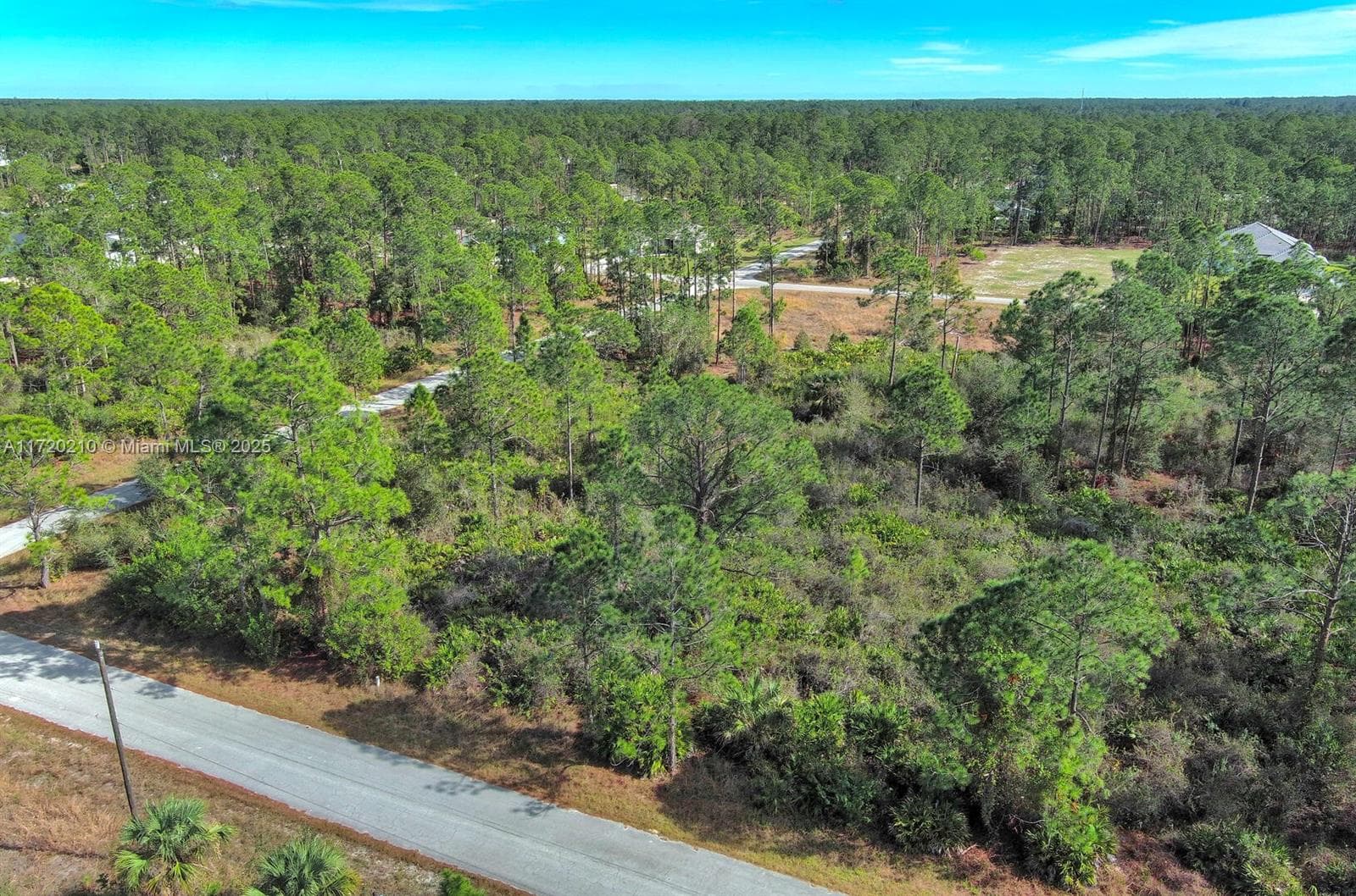 1020 Lake Ave, Lehigh Acres FL 33972