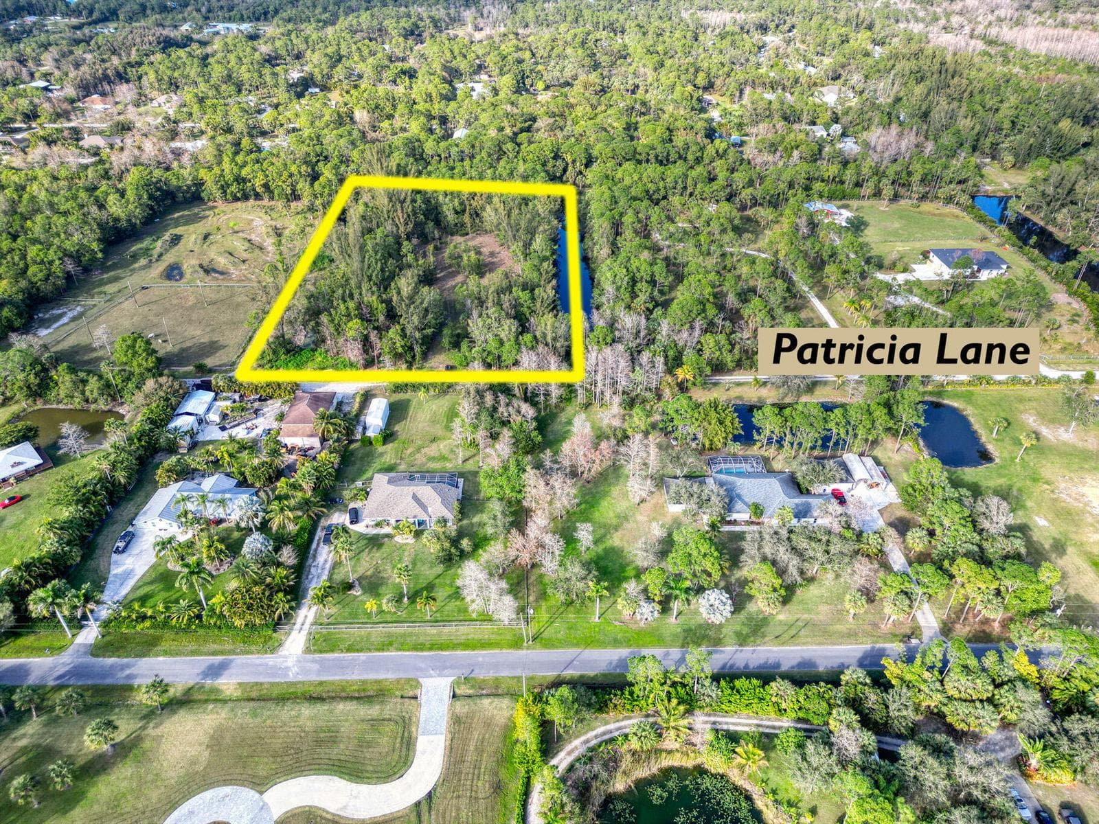 Aerial Views 9205 Patricia Ln (2)