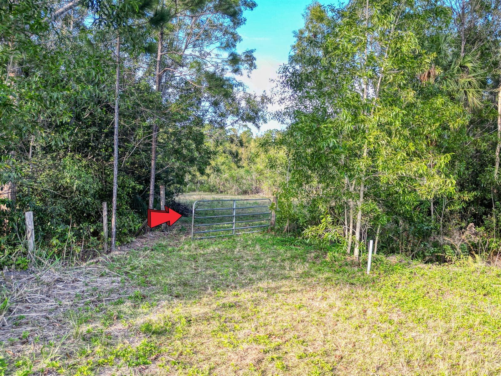Aerial Views 9205 Patricia Ln (7)