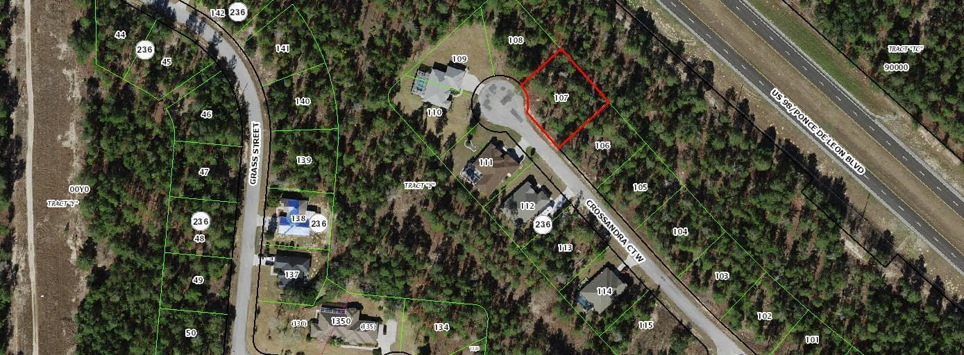 11 Crossandra Court W, FL 34446