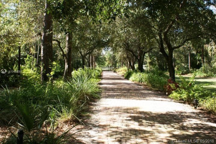 Fox Tails Community View