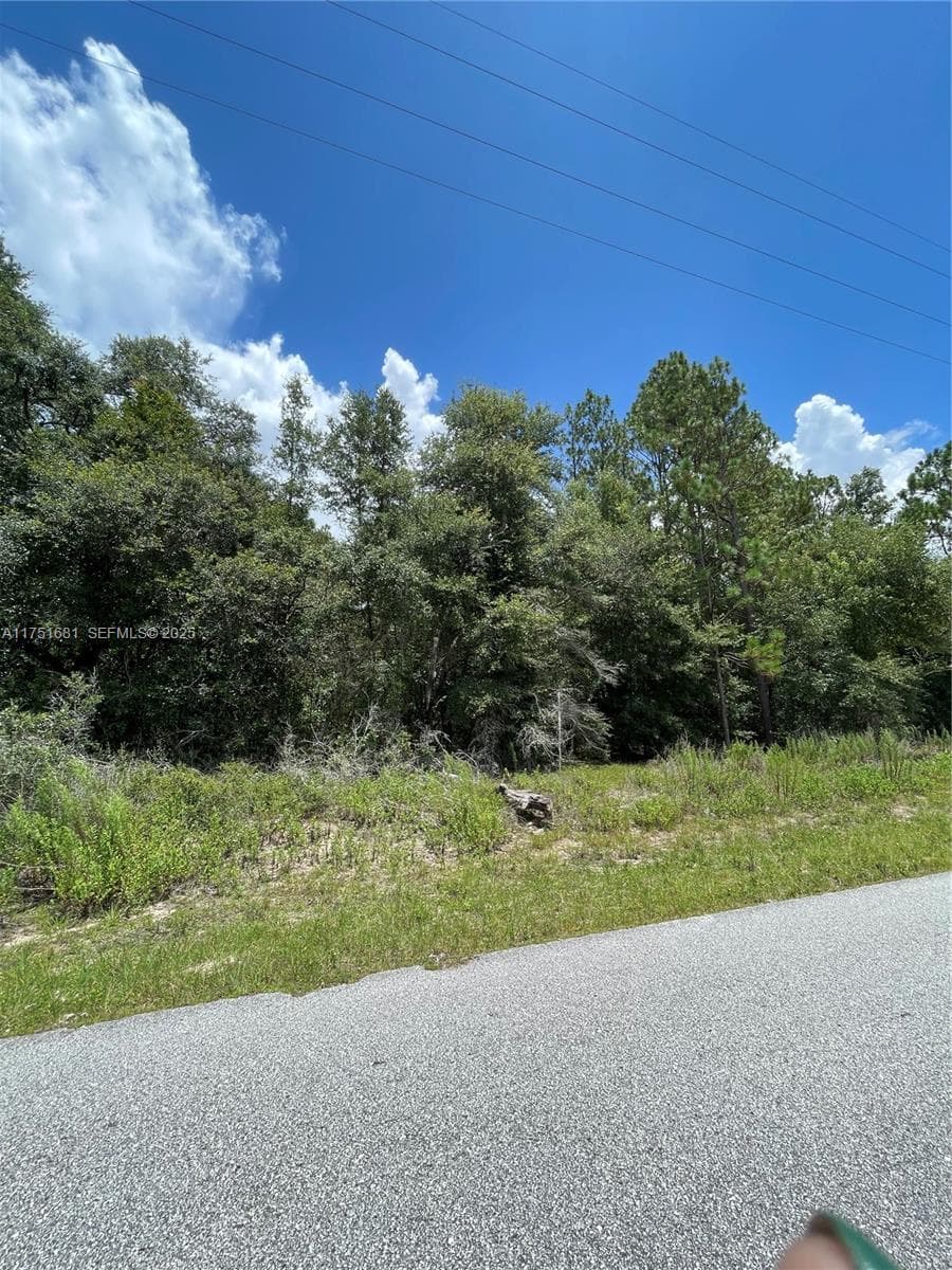 tbd SW 59th LN, Other City - In The State Of Florida FL 34431