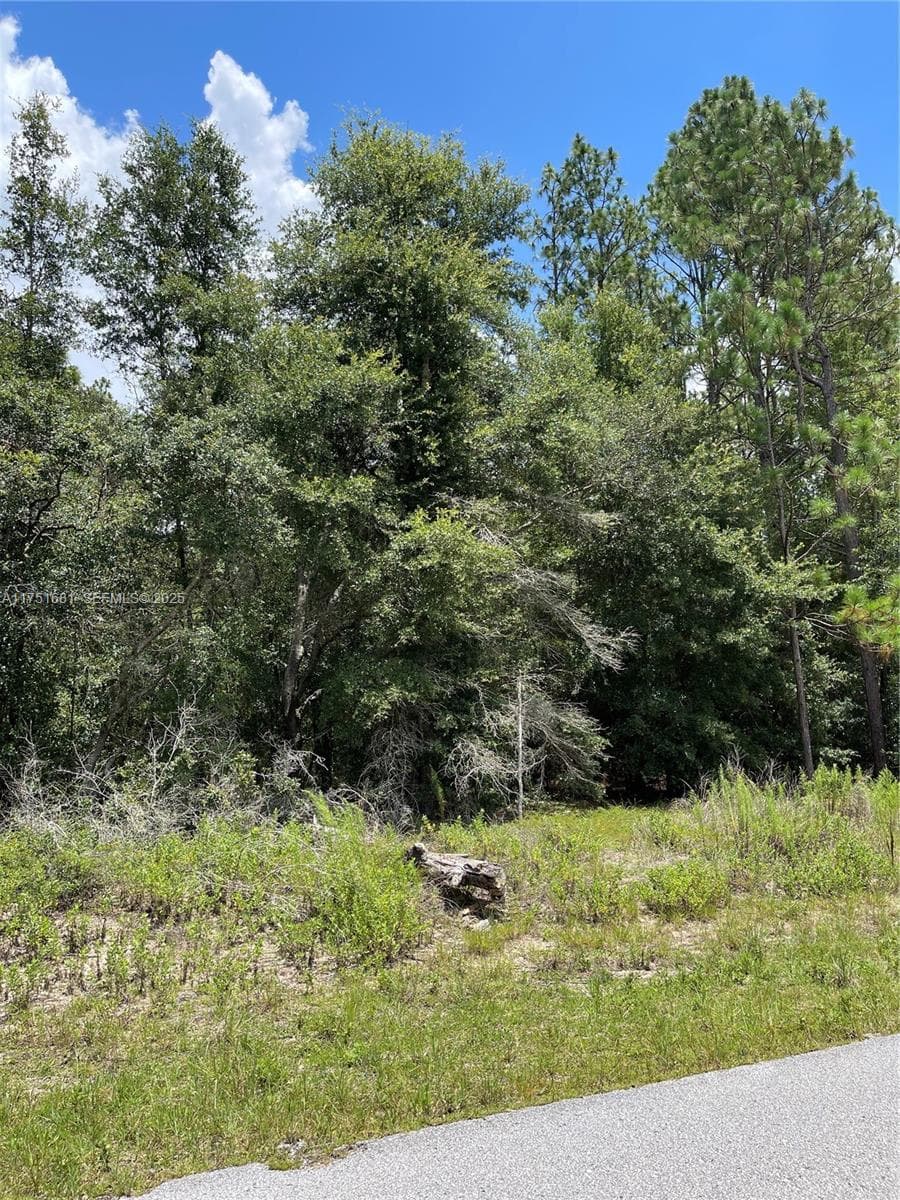 tbd SW 59th LN, Other City - In The State Of Florida FL 34431