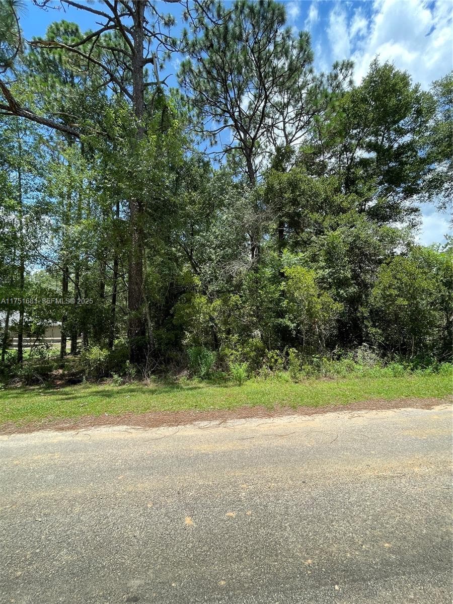 tbd SW 59th LN, Other City - In The State Of Florida FL 34431