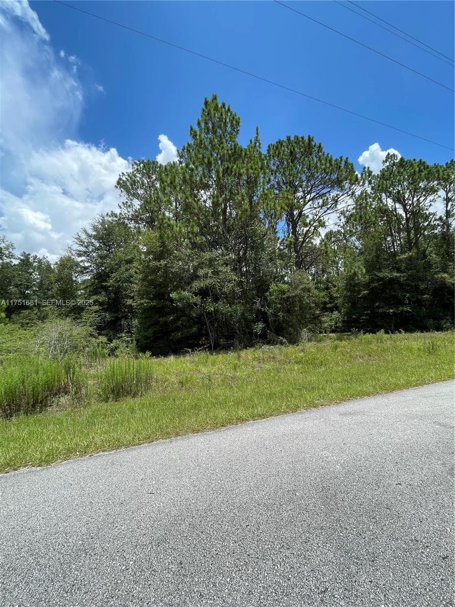 tbd SW 59th LN, Other City - In The State Of Florida FL 34431
