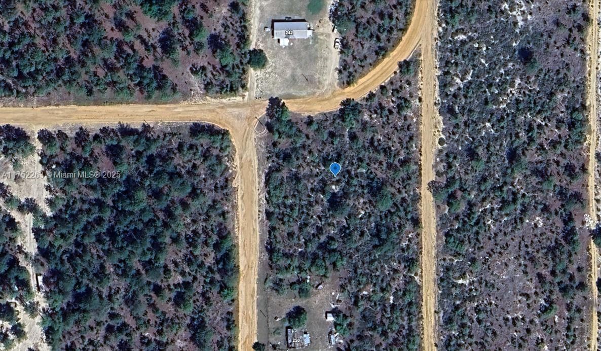 256 Orchid Av, Other City - In The State Of Florida FL 32148