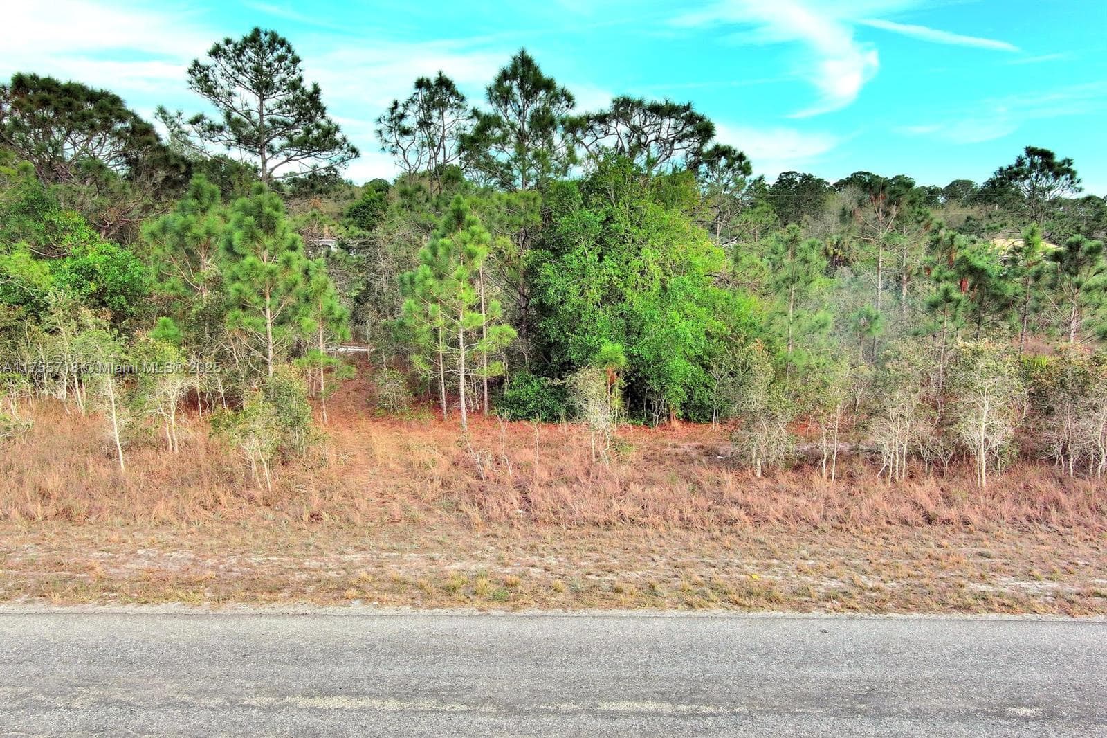 565 Summit Ave S, Lehigh Acres FL 33974