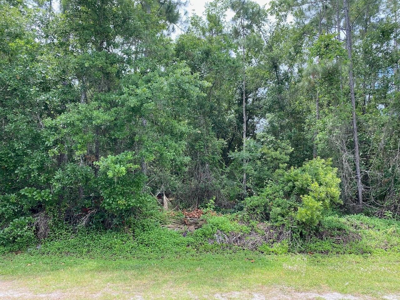 2351 Allamanda Drive, FL 33855