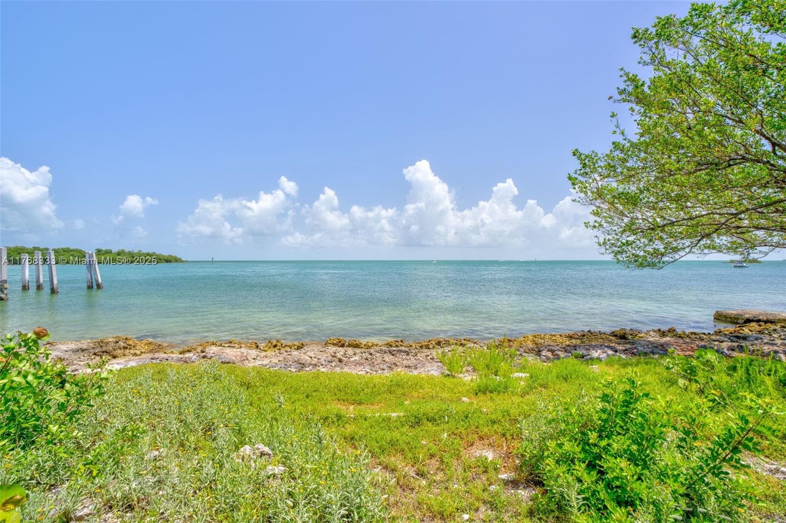 Waterfront sunset view! Deep water dockage approved!