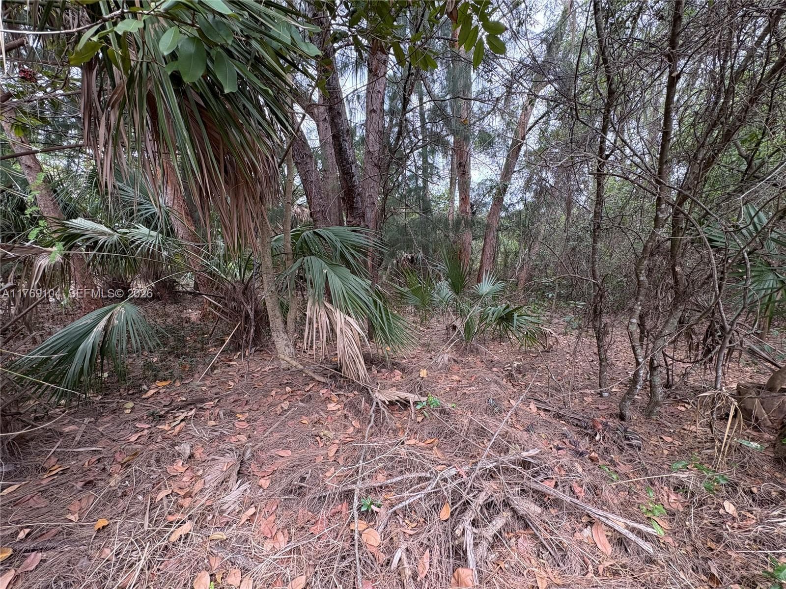 30xx Forest Hills Dr, Coral Springs FL 33065