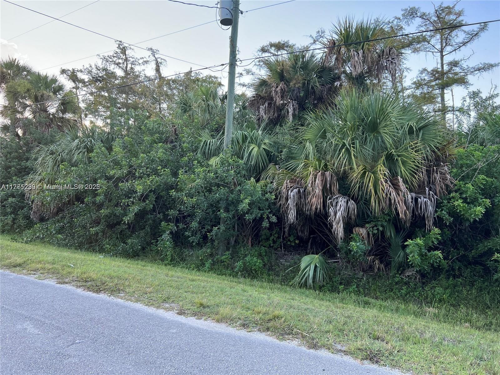 2521 NE 20th Avenue, Naples FL 34120